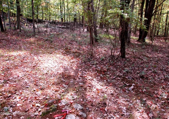Photo 3 of Land for sale at Rose Marie Ln 415, East Stroudsburg, PA 18302 | MLS# PM-135935 | Listing updated on 2025-11-04