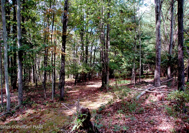 Photo 3 of Land for sale at Rose Marie Ln 415, East Stroudsburg, PA 18302 | MLS# PM-135935 | Listing updated on 2025-11-04