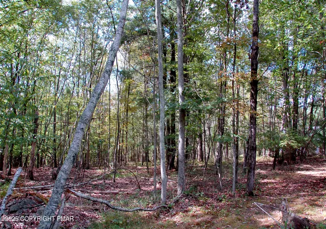 Photo 4 of Land for sale at Rose Marie Ln 415, East Stroudsburg, PA 18302 | MLS# PM-135935 | Listing updated on 2025-11-04