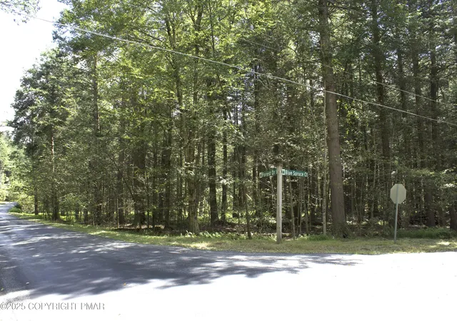 Photo 3 of Land for sale at 0 Forest Dr E, Pocono Lake, PA 18347 | MLS# PM-136087 | Listing updated on 2025-11-07
