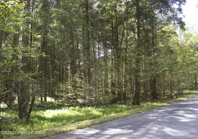 Photo 4 of Land for sale at 0 Forest Dr E, Pocono Lake, PA 18347 | MLS# PM-136087 | Listing updated on 2025-11-07