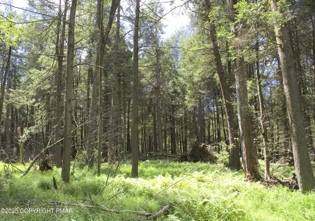 Photo 7 of Land for sale at 0 Forest Dr E, Pocono Lake, PA 18347 | MLS# PM-136087 | Listing updated on 2025-11-07