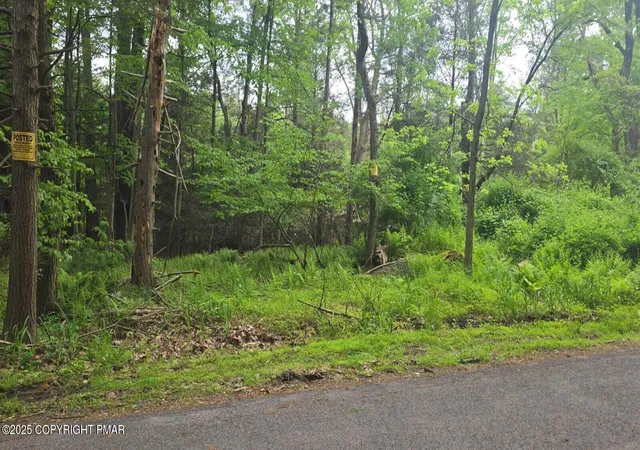 2nd image of Lot St Johns Rd, Drums, PA 18222 | MLS# PM-137167