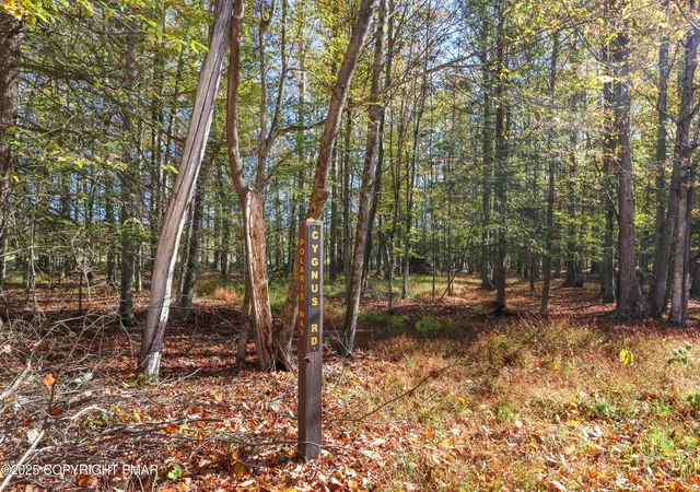 Photo 2 of Land for sale at Cygnus Rd, Lake Ariel, PA 18436 | MLS# PM-136453 | Listing updated on 2025-12-22