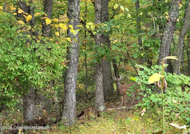 Photo 1 of Land for sale at 17 Summit Dr, East Stroudsburg, PA 18302 | MLS# PM-136686 | Listing updated on 2025-10-21