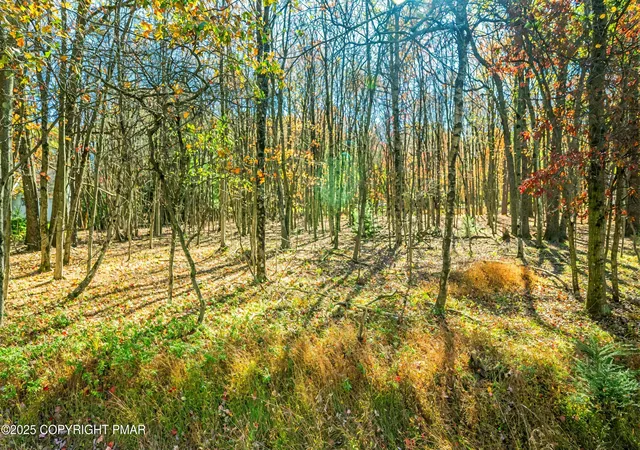 4th image of Ev407 Towamensing Trl, Albrightsville, PA 18210 | MLS# PM-136764