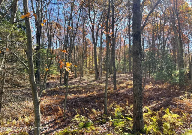 Photo 34 of Single family home for sale at 226 Bear Creek Lake Dr, Jim Thorpe, PA 18229 | MLS# PM-136823 | Listing updated on 2025-12-08