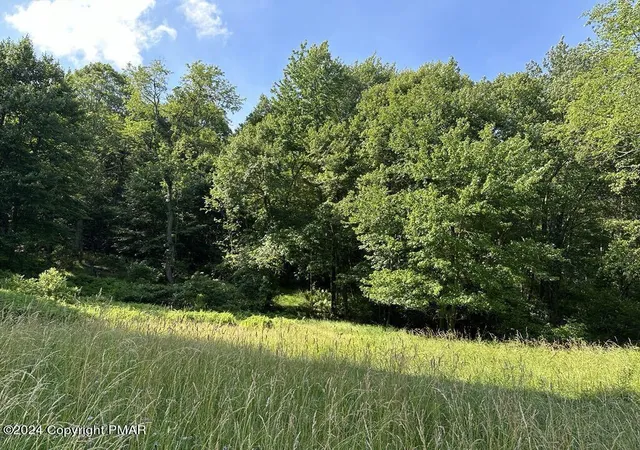 Photo 3 of Land for sale at 132 Crescent Lake Rd, Scotrun, PA 18355 | MLS# PM-136978 | Listing updated on 2026-10-07