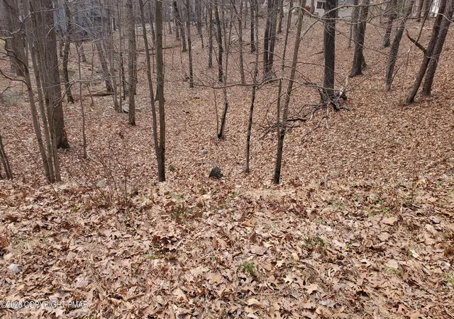 Photo 1 of Land for sale at Lot 1686 Exeter Ct, Bushkill, PA 18324 | MLS# PM-137123 | Listing updated on 2026-08-11