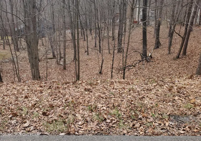 Photo 2 of Land for sale at Lot 1686 Exeter Ct, Bushkill, PA 18324 | MLS# PM-137123 | Listing updated on 2026-08-11