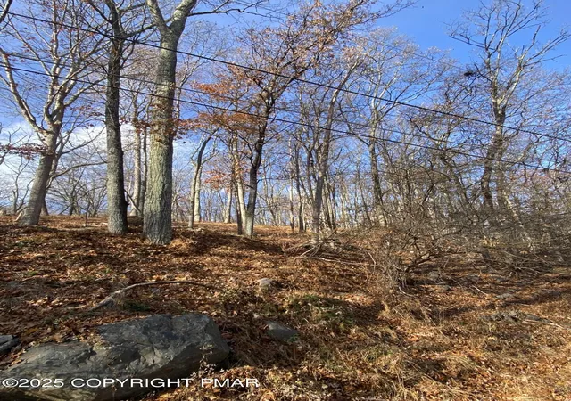 Photo 3 of Land for sale at Lot 13 Sutter Dr, Bushkill, PA 18324 | MLS# PM-137402 | Listing updated on 2025-11-21