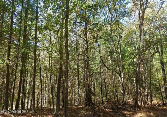 Photo 3 of Land for sale at Lr 45019, Stroudsburg, PA 18360 | MLS# PM-137726 | Listing updated on 2026-06-05