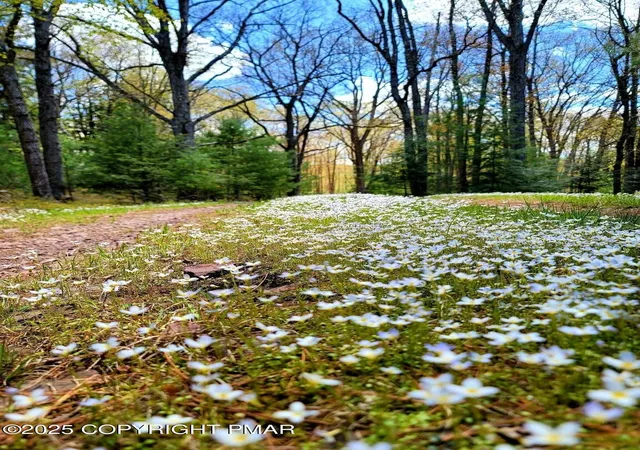 2nd image of 614 Graystones Jeras Lot Hv 3 Rd, Albrightsville, PA 18210 | MLS# PM-137731