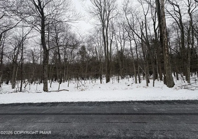 Photo 3 of Land for sale at 8 Shadylane Dr, Newfoundland, PA 18445 | MLS# PM-137884 | Listing updated on 2026-01-06