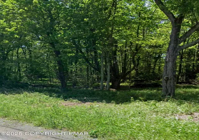 Photo 5 of Land for sale at Lr 45089 (main St), Tobyhanna, PA 18466 | MLS# PM-137869 | Listing updated on 2026-06-23