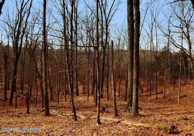 4th image of 407 Pinetree Rd, Albrightsville, PA 18210 | MLS# PM-138118