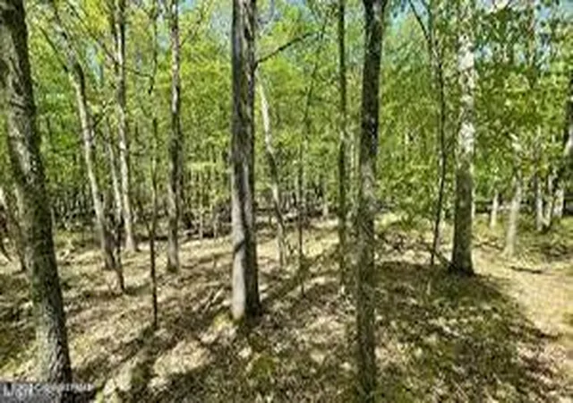 Photo 3 of Land for sale at Spring Ct, Bushkill, PA 18324 | MLS# PM-138182 | Listing updated on 2026-05-04