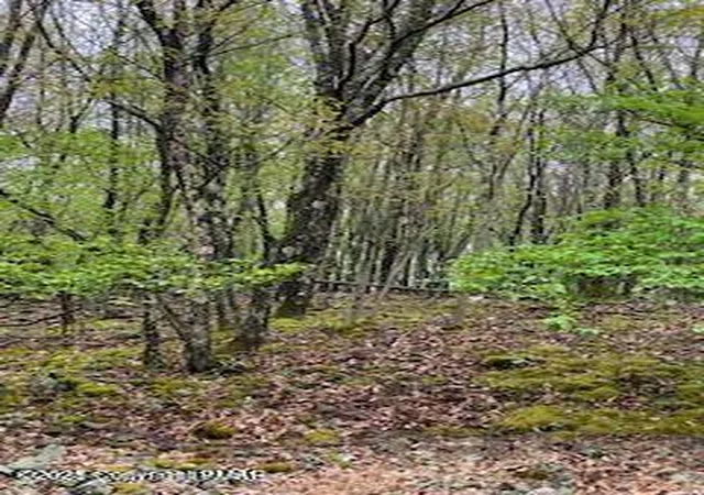 Photo 3 of Land for sale at Spring Ct, Bushkill, PA 18324 | MLS# PM-138182 | Listing updated on 2026-05-04