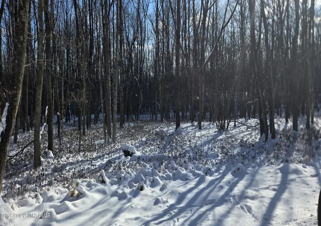 Photo 1 of Land for sale at Ep2152a Old Stage Rd, Albrightsville, PA 18210 | MLS# PM-138404 | Listing updated on 2026-01-20