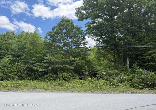 Homes for sale in Jim Thorpe, PA | B27 W Clarke South Ln, Jim Thorpe, PA 18229 | MLS# PM-138494