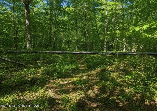 1st image of Lr 45026 4, Henryville, PA 18332 | MLS# PM-138559
