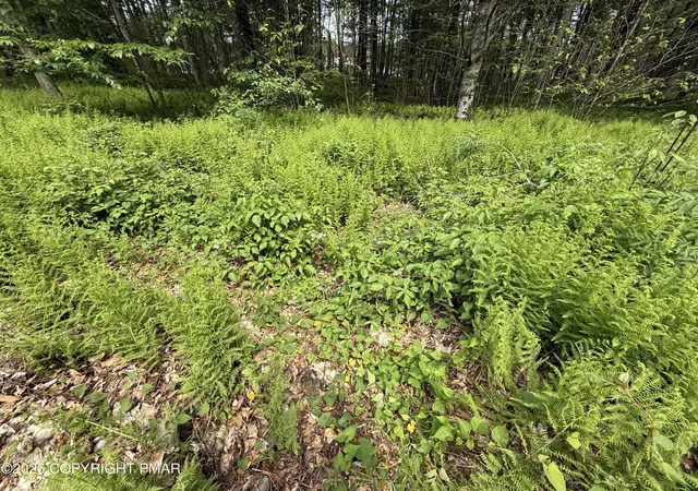 Photo 1 of Land at Dorshimer Ave, Blakeslee, PA 18610 | MLS# PM-138653 | | Sold on 2026-05-15