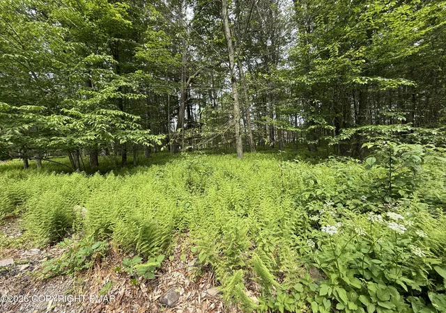 Photo 2 of Land at Dorshimer Ave, Blakeslee, PA 18610 | MLS# PM-138653 | | Sold on 2026-05-15