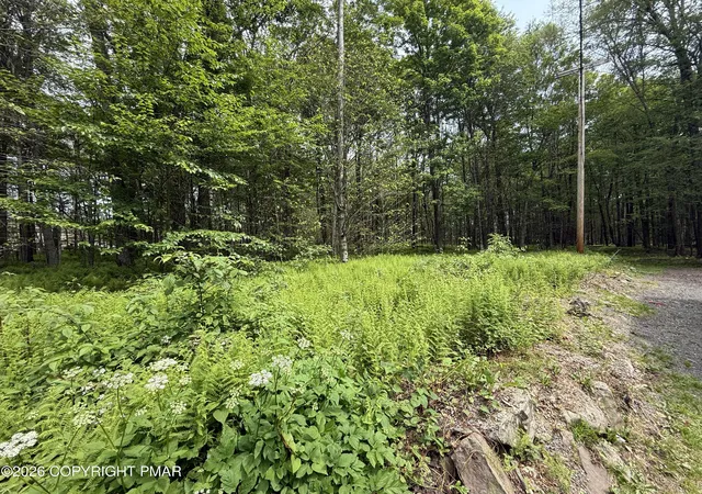 Photo 3 of Land at Dorshimer Ave, Blakeslee, PA 18610 | MLS# PM-138653 | | Sold on 2026-05-15