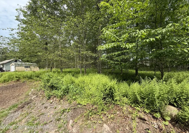Photo 4 of Land at Dorshimer Ave, Blakeslee, PA 18610 | MLS# PM-138653 | | Sold on 2026-05-15