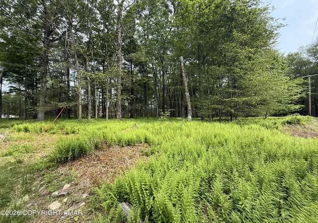 Photo 5 of Land at Dorshimer Ave, Blakeslee, PA 18610 | MLS# PM-138653 | | Sold on 2026-05-15