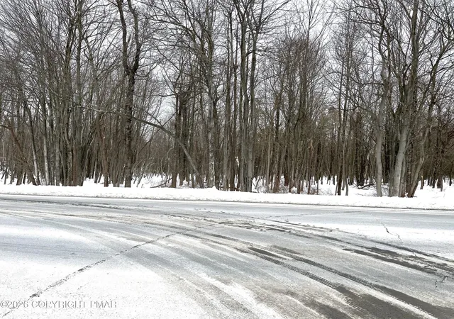 Homes for sale in Blakeslee, PA | Lot 4 Pa 115 4, Blakeslee, PA 18610 | MLS# PM-138715