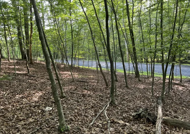 Photo 1 of Land for sale at Yukon Dr, East Stroudsburg, PA 18302 | MLS# PM-143612 | Listing updated on 2026-08-12