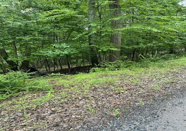 Photo 3 of Land for sale at 6181 Kansa Rd, East Stroudsburg, PA 18302 | MLS# PM-143611 | Listing updated on 2026-08-12