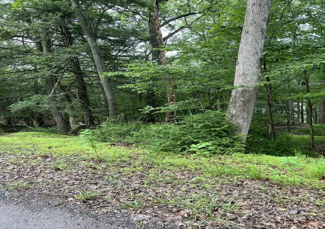 Photo 3 of Land for sale at 6181 Kansa Rd, East Stroudsburg, PA 18302 | MLS# PM-143611 | Listing updated on 2026-08-12