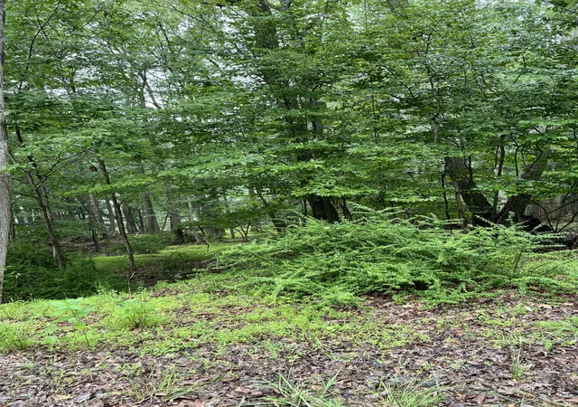 Photo 4 of Land for sale at 6181 Kansa Rd, East Stroudsburg, PA 18302 | MLS# PM-143611 | Listing updated on 2026-08-12