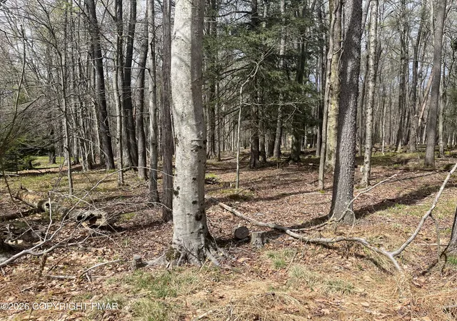 Homes for sale in Greentown, PA | 2815 Jean Danielson Dr, Greentown, PA 18426 | MLS# PM-138948