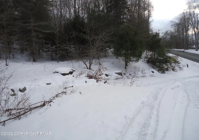 Photo 3 of Land for sale at 2017 Locust Ridge Rd, Pocono Lake, PA 18347 | MLS# PM-139107 | Listing updated on 2026-02-26