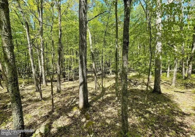 Photo 3 of Land for sale at 000 Mallard Ln, Bushkill, PA 18324 | MLS# PM-139242 | Listing updated on 2026-05-04