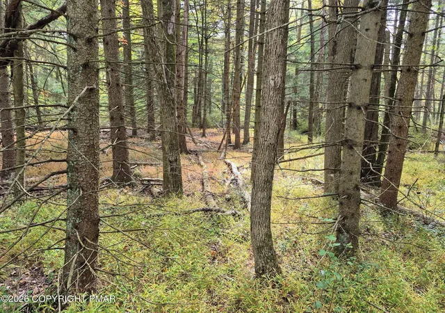 Photo 2 of Sale Pending at Millheim Rd, Bath, PA 18014 | MLS# PM-139275 | Listing updated on 2026-08-13