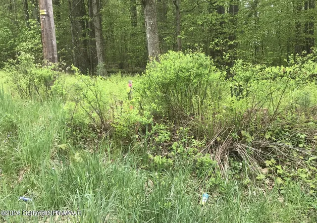 Photo 3 of Land for sale at Lr 45039 68, Pocono Lake, PA 18347 | MLS# PM-139343 | Listing updated on 2026-03-16