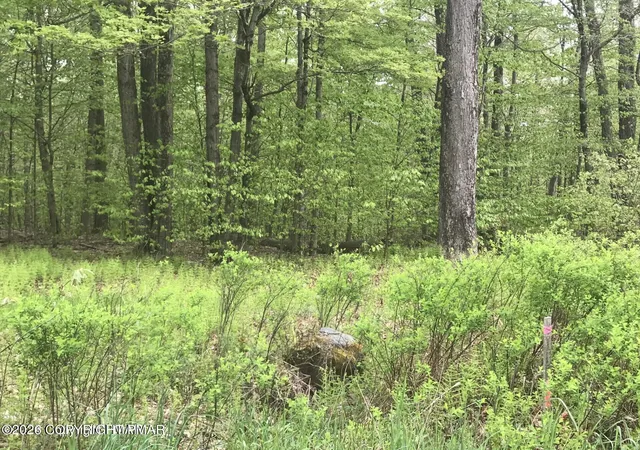 Photo 4 of Land for sale at Lr 45039 68, Pocono Lake, PA 18347 | MLS# PM-139343 | Listing updated on 2026-03-16
