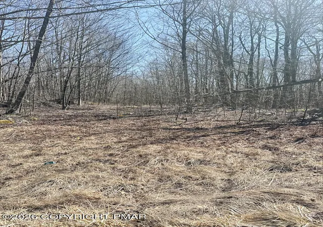 Homes for sale in Tobyhanna, PA | Somerset Dr 30, Tobyhanna, PA 18466 | MLS# PM-139399