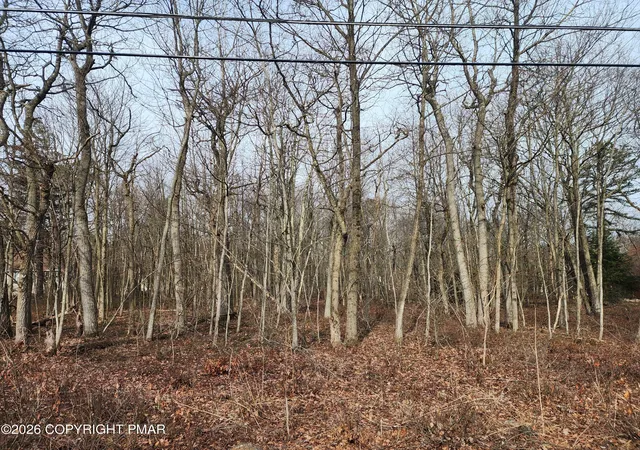 Photo 3 of Land for sale at Lot D419 Panther Run Rd, Jim Thorpe, PA 18229 | MLS# PM-139446 | Listing updated on 2026-03-13