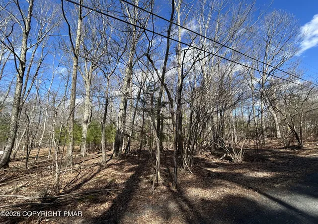 Photo 3 of Land for sale at Lots 22 & Daffodil Rd, East Stroudsburg, PA 18302 | MLS# PM-139495 | Listing updated on 2026-04-13