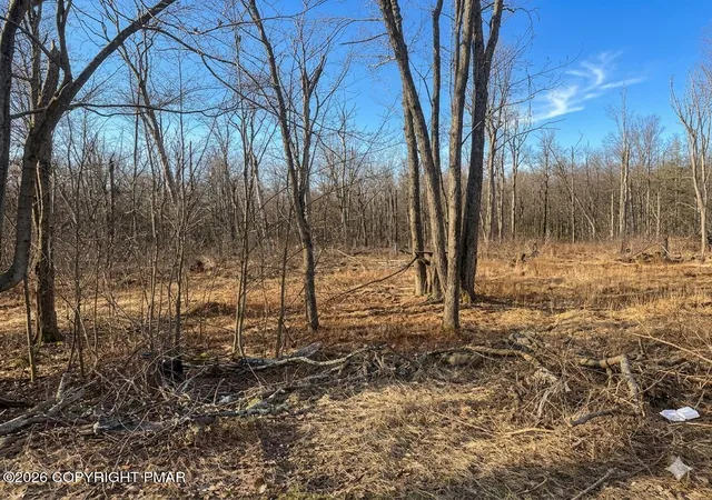 Homes for sale in Tobyhanna, PA | 3316 Falstaff Dr, Tobyhanna, PA 18466 | MLS# PM-139524