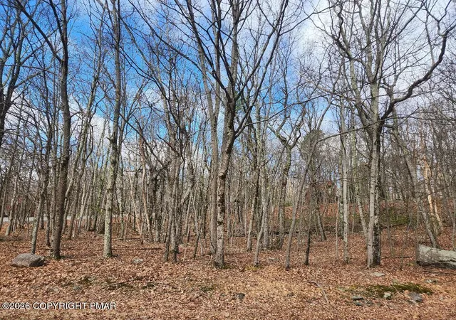 3rd image of 2604 Arciel Dr, Albrightsville, PA 18210 | MLS# PM-139681