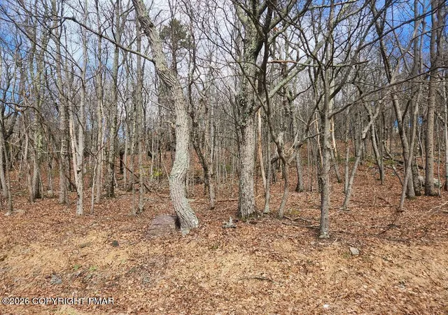4th image of 2604 Arciel Dr, Albrightsville, PA 18210 | MLS# PM-139681