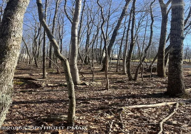Photo 3 of Land for sale at Lot 21 Pocono Forested Dr, East Stroudsburg, PA 18302 | MLS# PM-139704 | Listing updated on 2026-04-03