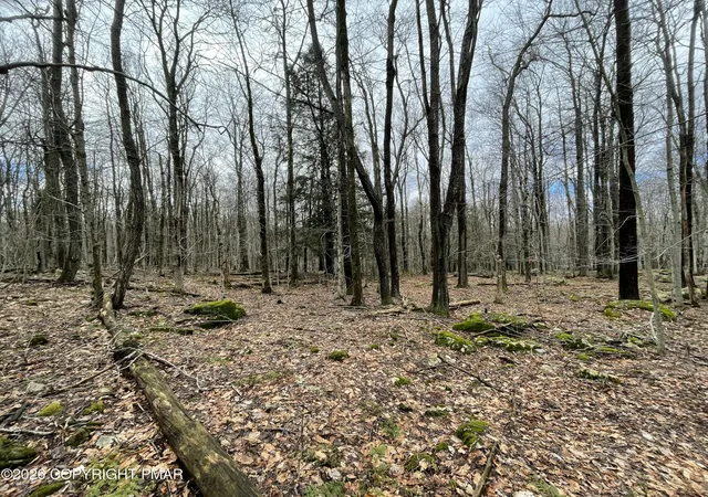 Homes for sale in Gouldsboro, PA | 46 Tuscarora Trl, Gouldsboro, PA 18424 | MLS# PM-139799