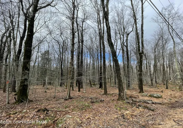 Homes for sale in Gouldsboro, PA | 46 Tuscarora Trl, Gouldsboro, PA 18424 | MLS# PM-139799